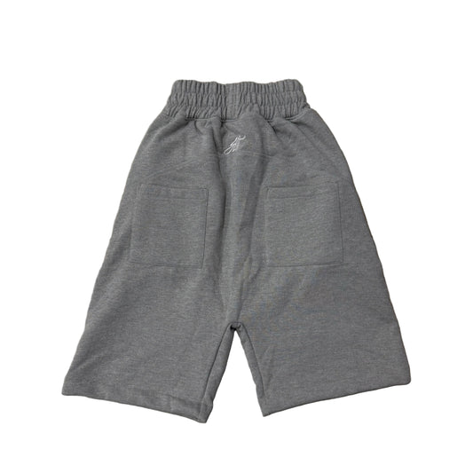Short HLT Gris