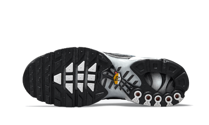 Nike Air Max Plus Dark Smoke Grey - DO6384-001 / CD0609-013