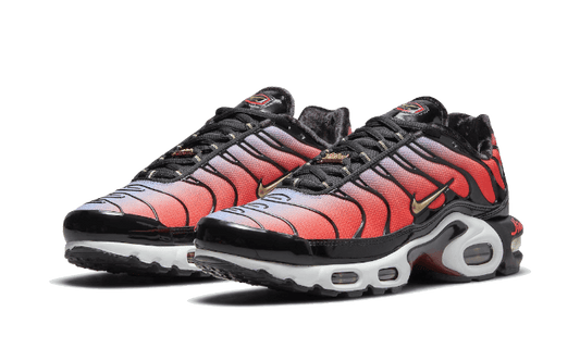 Nike Air Max Plus Sisterhood - DO6115-500