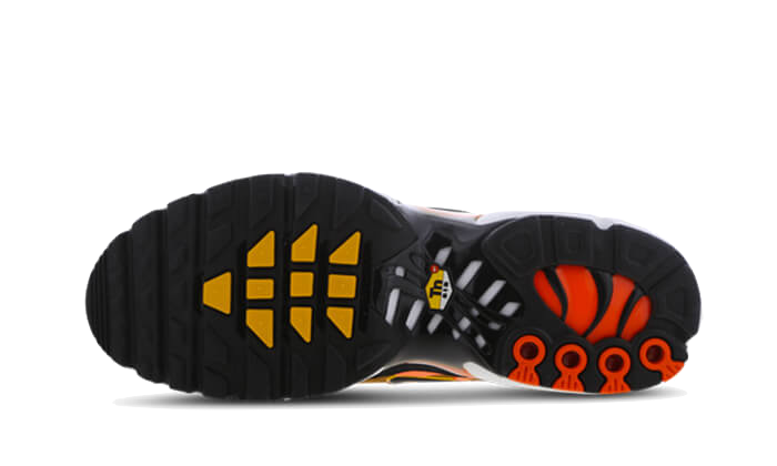 Nike Air Max Plus Orange Black - DM0032-800