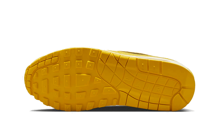 air-max-1-cojp-michigan-5199ee