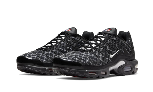 Nike Air Max Plus France - DV3194-001