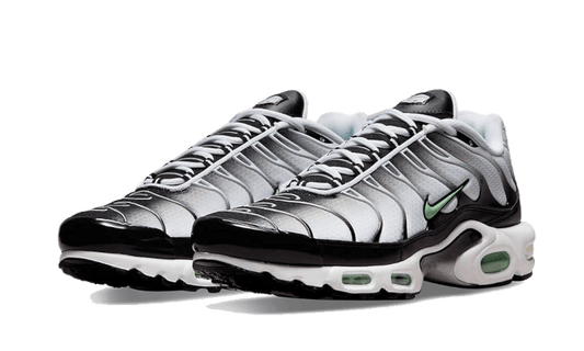 Nike Air Max Plus Seafoam Grey Black - DH4776-100