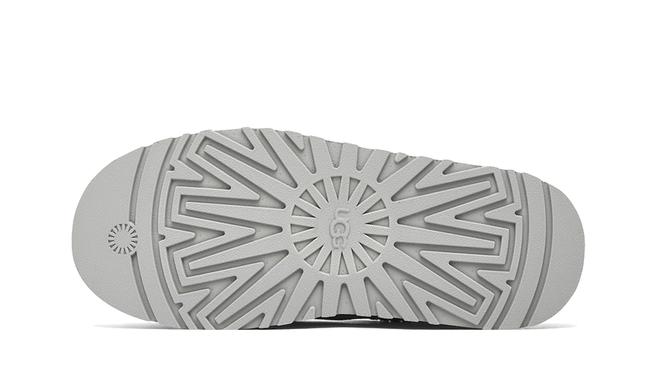 tazz-slipper-seal-5199ee