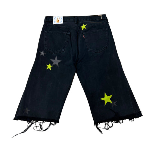 Short Activist Paris Star Denim