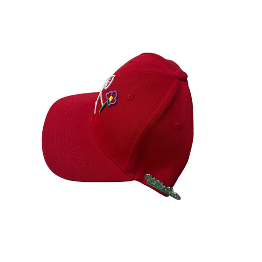Casquette Why Not Rouge