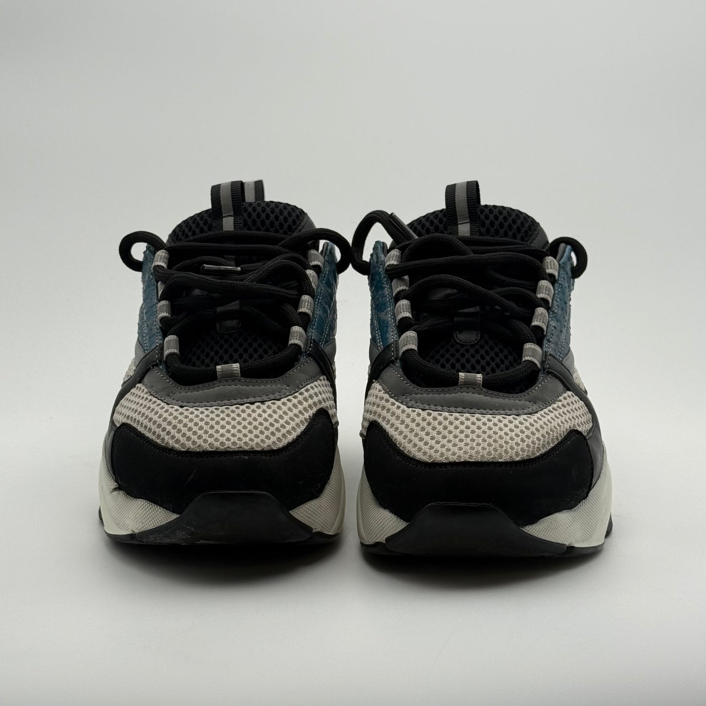 Dior B22 Python 40