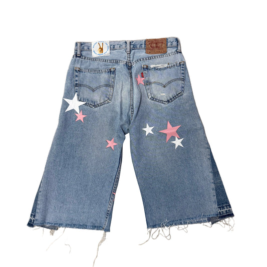 Short Activist Paris Star Denim