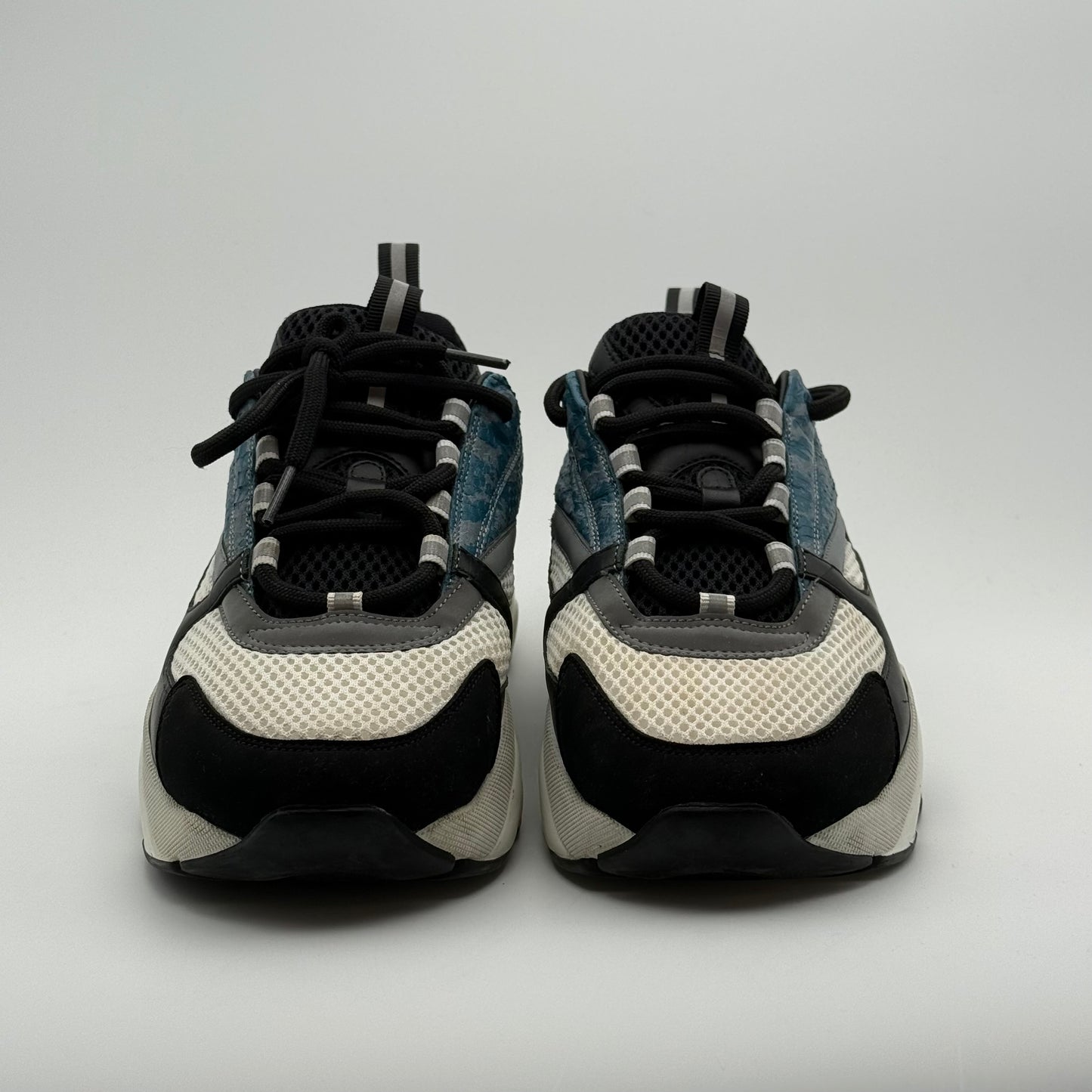 Dior B22 Python 42