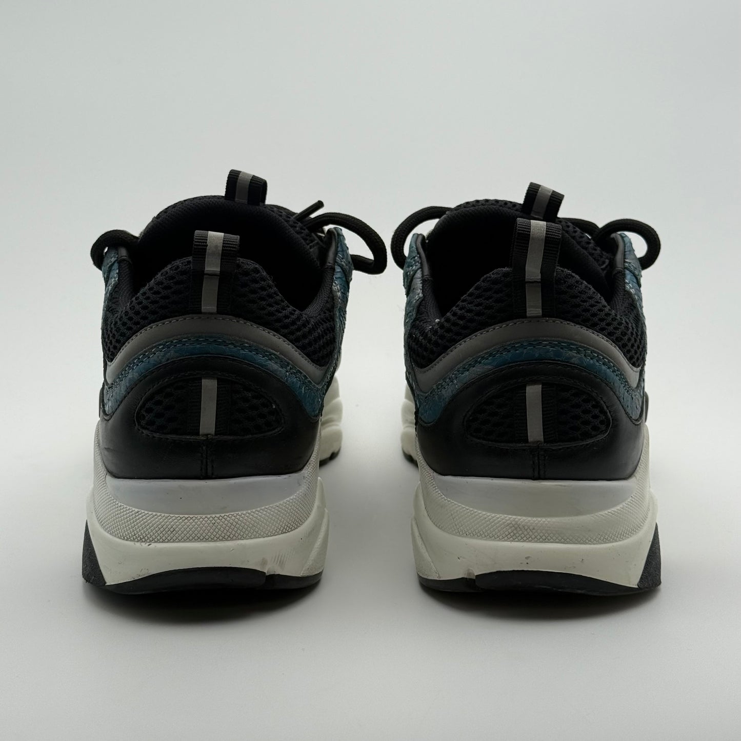 Dior B22 Python 40