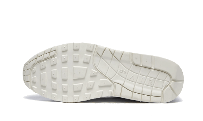 Nike Air Max 1 Tawny - DC9204-100