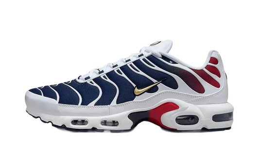 Nike Air Max Plus PSG - FZ4776-100