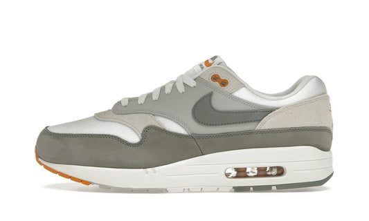 Nike Air Max 1 Light Iron Ore Flat Pewter - IB1492-121