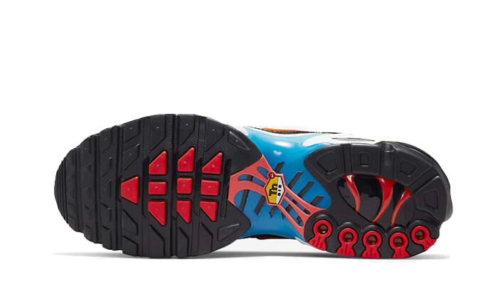 Nike Air Max Plus Brixton - DX2665-001