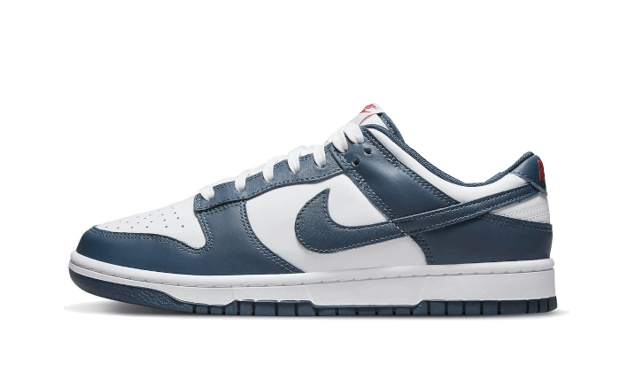 dunk-low-valerian-blue-5199ee