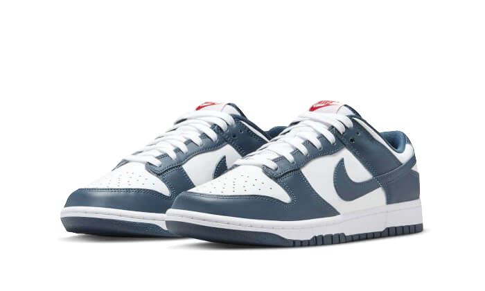 dunk-low-valerian-blue-5199ee