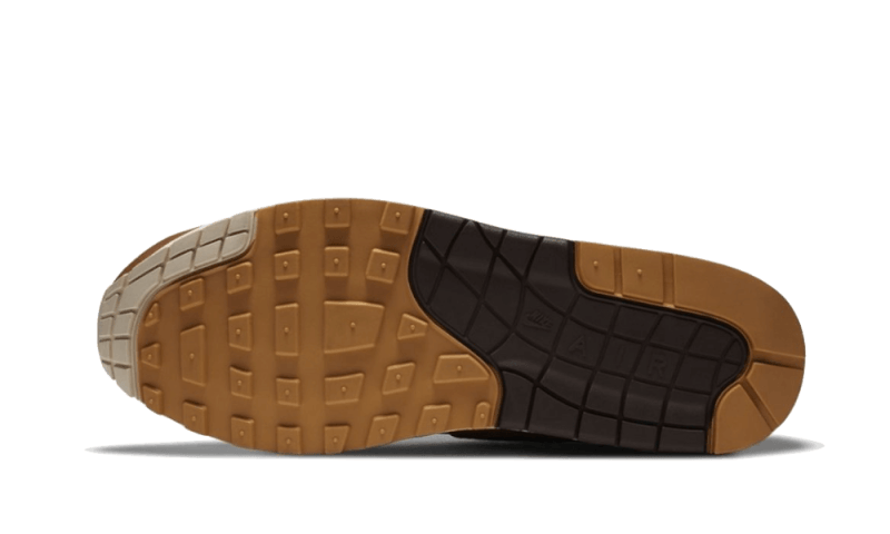 air-max-1-snkrs-day-brown-5199ee