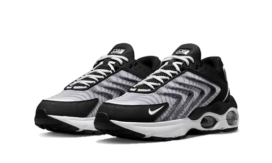 air-max-tw-black-white-5199ee