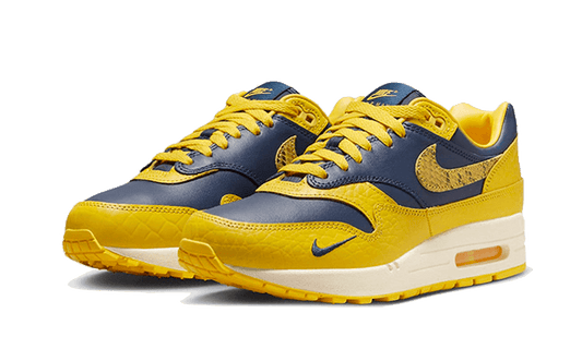 air-max-1-cojp-michigan-5199ee