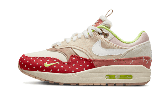 Nike Air Max 1 PRM Best Friend - DR2553-111