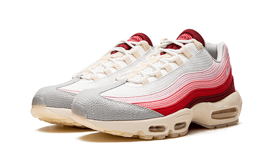 air-max-95-anatomy-of-air-5199ee