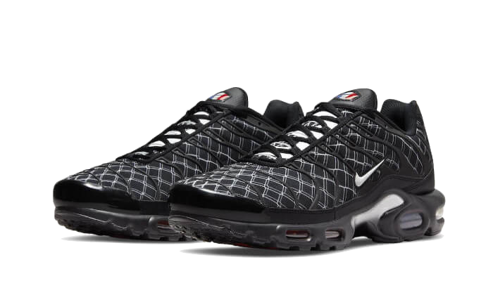 Nike Air Max Plus France - DV3194-001