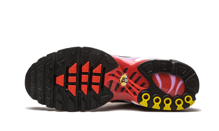 Nike Air Max Plus Sherbert - CZ1651-800 / FB8478-001