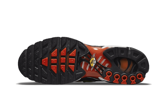 Nike Air Max Plus Sunset Gradient - DR8581-800 / DR8675-800