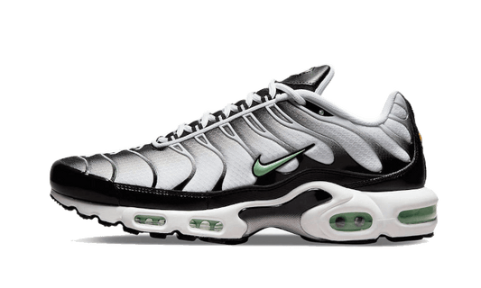 Nike Air Max Plus Seafoam Grey Black - DH4776-100