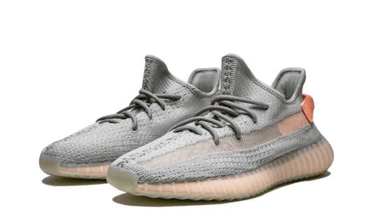 yeezy-boost-350-v2-true-form-5199ee